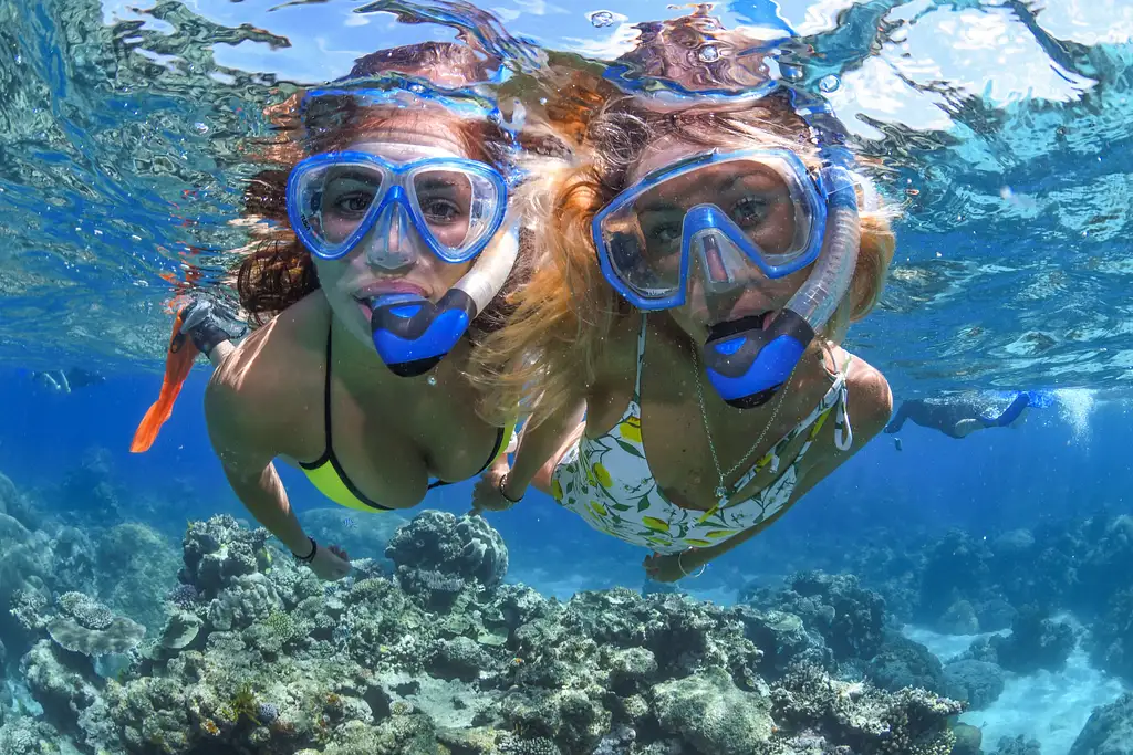 Full Day Great Barrier Reef Snorkelling & Dive Cruise on Evolution