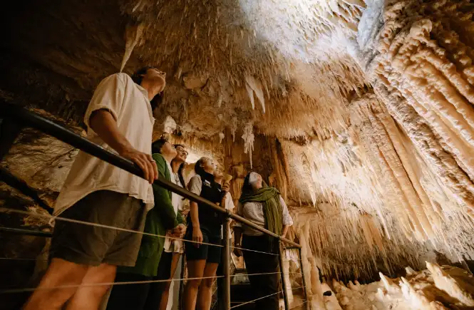 Jewel Cave Fully Guided Tour