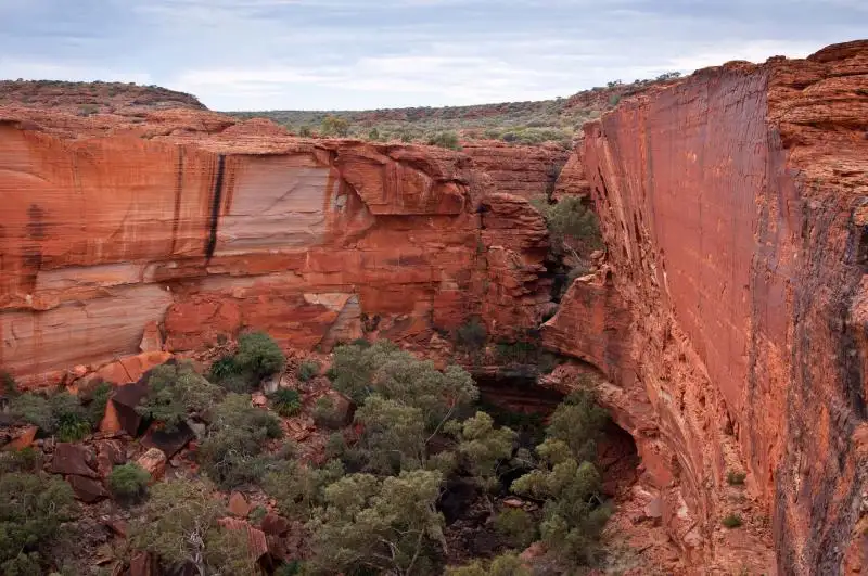 4 Day Uluru Adventure | Uluru to Uluru