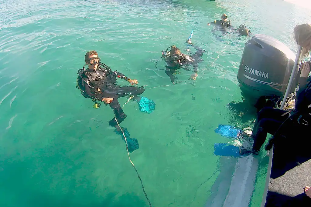 Gold Coast Single Dive