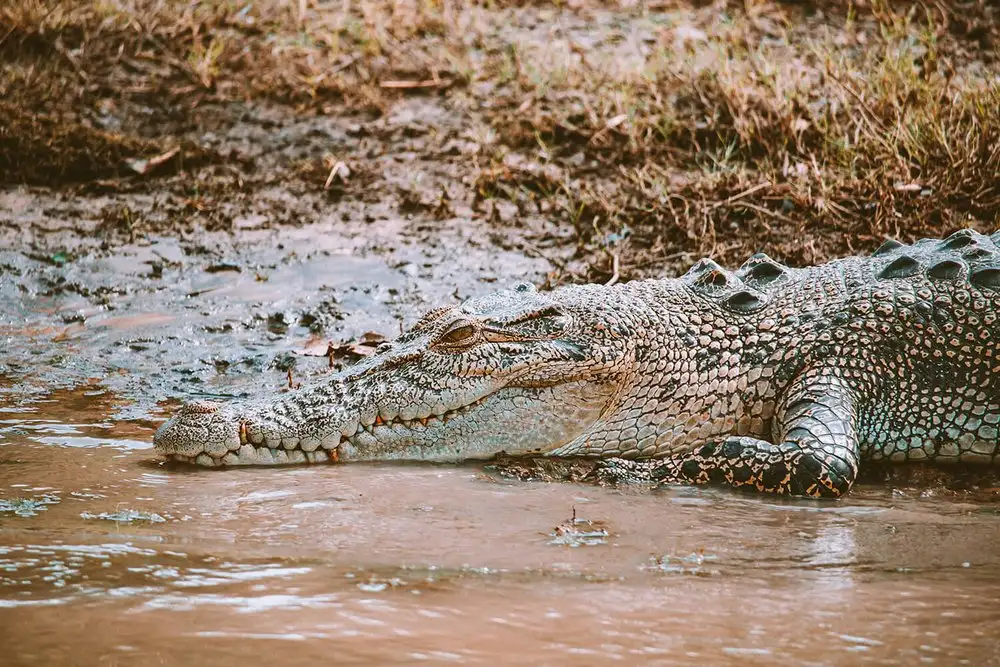 3 Day Authentic Top End Getaway