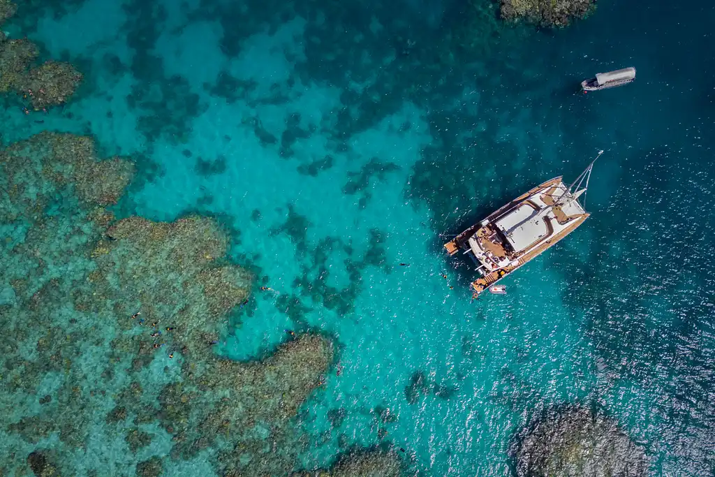 Passions Of Paradise - Great Barrier Reef Day Tour | Snorkel & Dive