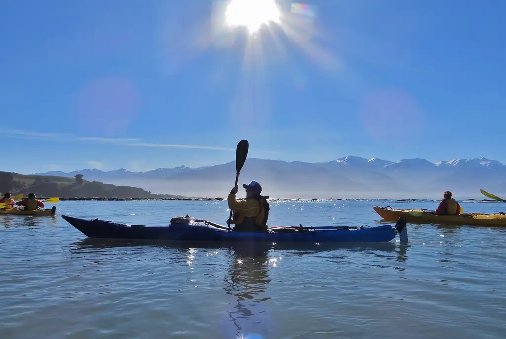 Kaikoura Guided Sunset Kayak Tour