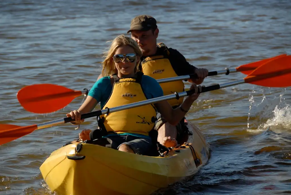 Kangaroo Island Kayak Tour - Harriet River