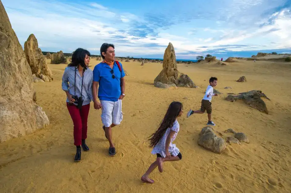 Pinnacles Sunset, Stargazing & Wildlife Full Day Tour