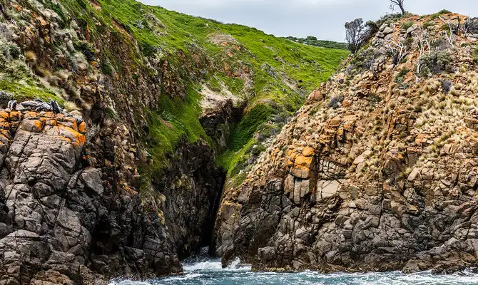 2.5 Hour Lighthouse And Island Cruise From Hobart - Iron Pot