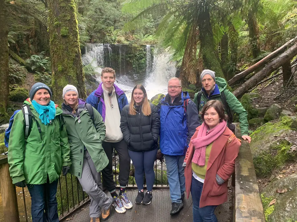 Tasmania Big Tree Hunting