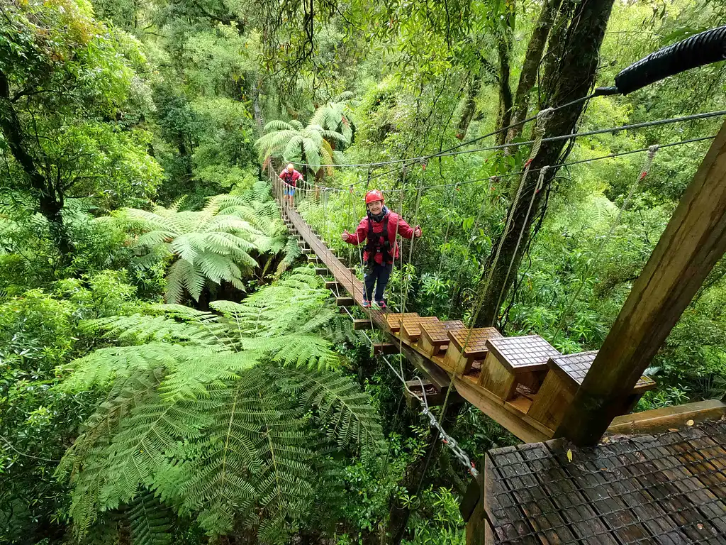 The Original Canopy Tour