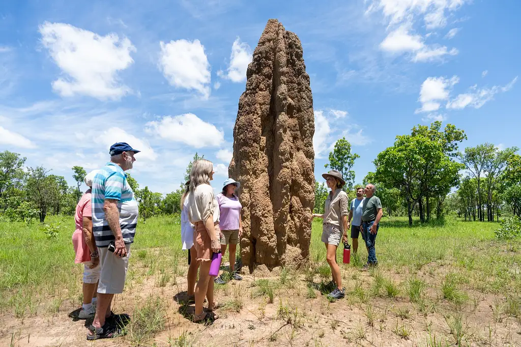 3 Day Kakadu to Litchfield 4WD Safari Tent Camping | From Darwin