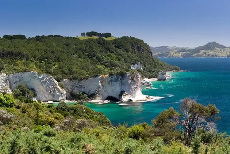 Coromandel Peninsula Highlights | Small Group Tour from Auckland