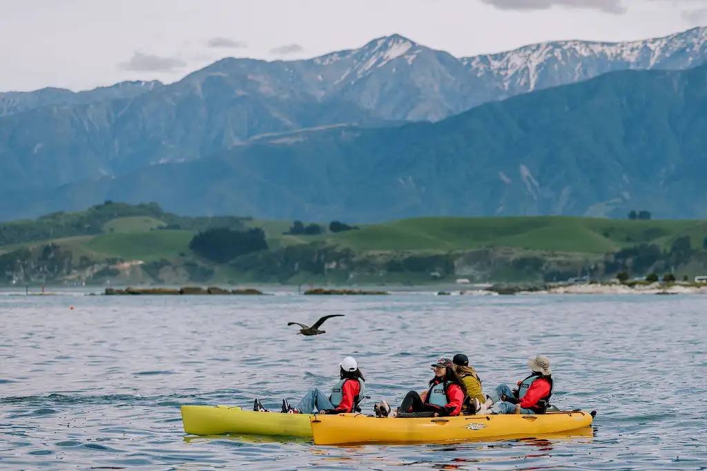 Sunset Kayak Tour Kaikoura