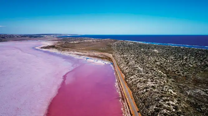 Pink Lake Buggy Tour | Western Australia