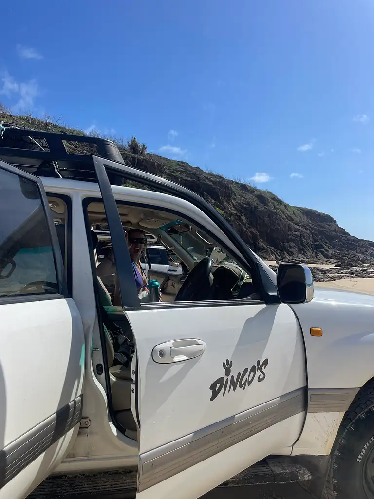 Dingos 3 Day K'gari (Fraser Island) 4WD Tag-Along Adventure