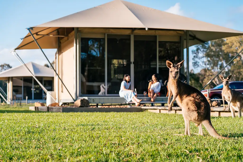 19 Day Cairns to Sydney Tour (Kookaburra) | Stray