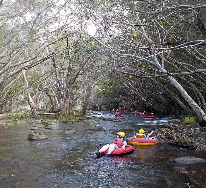 Cairns Rainforest Tubing