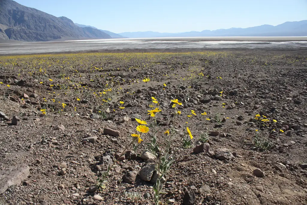 Death Valley Tour from Las Vegas