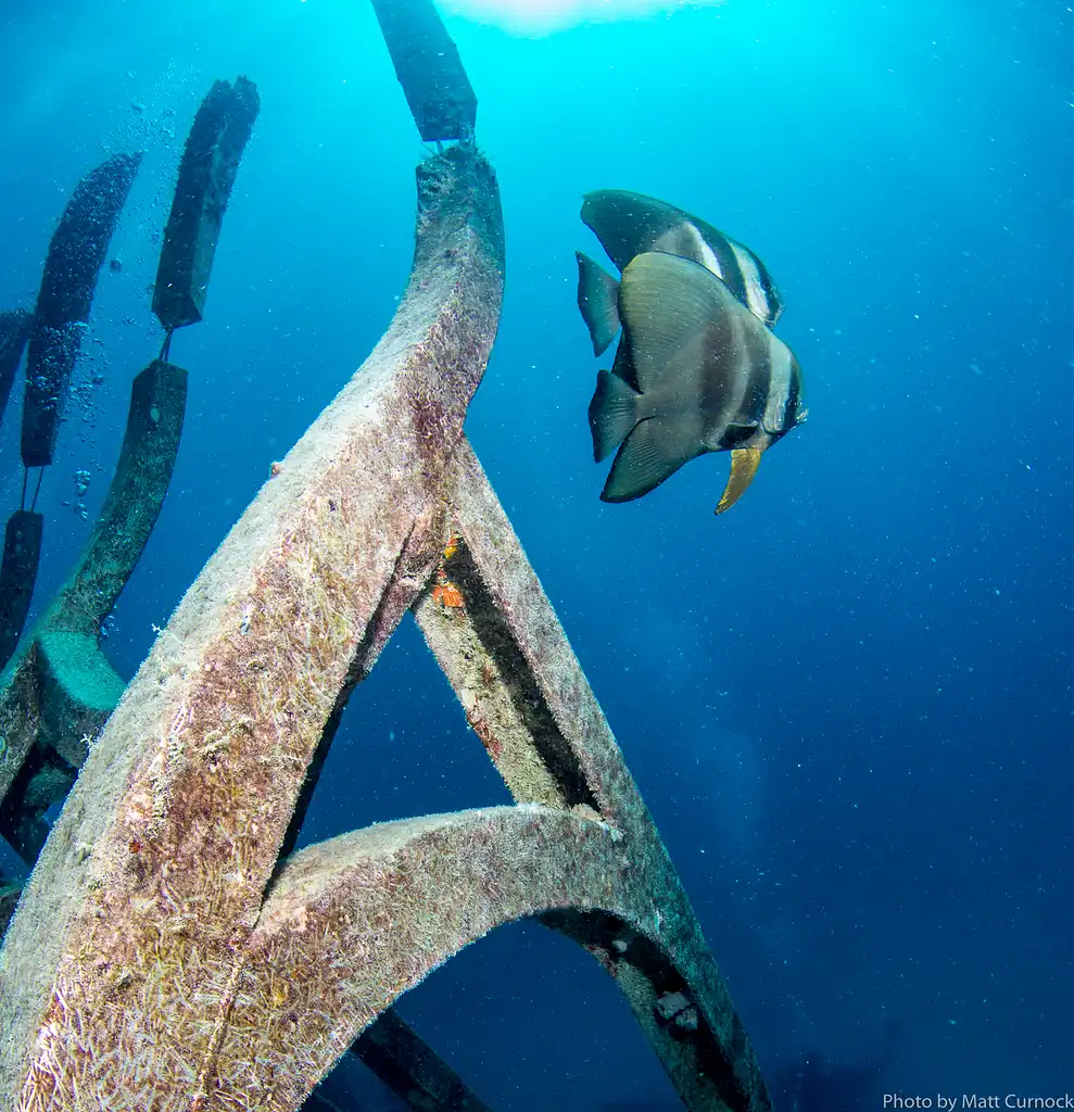 Great Barrier Reef & Museum of Underwater Art (MOUA) Day Trip | Departing Townsville or Magnetic Island