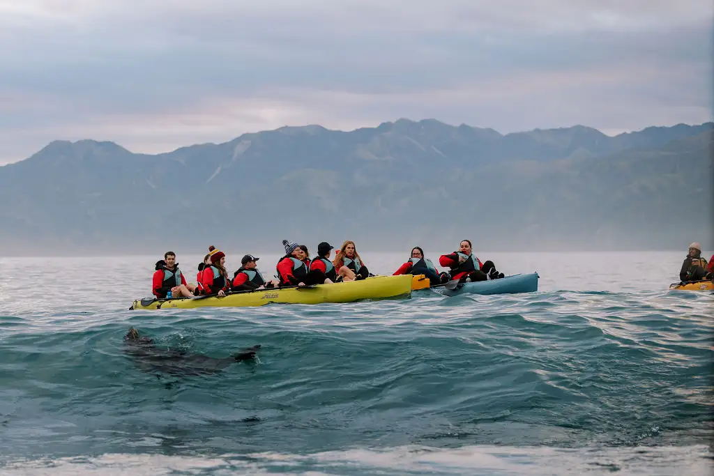 Sunset Kayak Tour Kaikoura