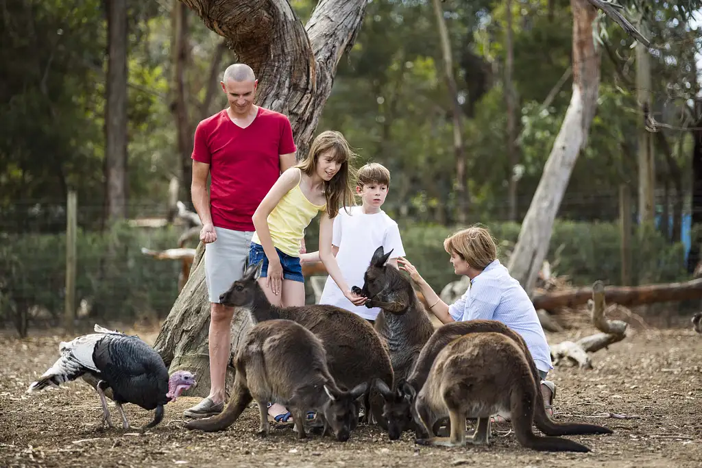 One Day Kangaroo Island Experience from Adelaide