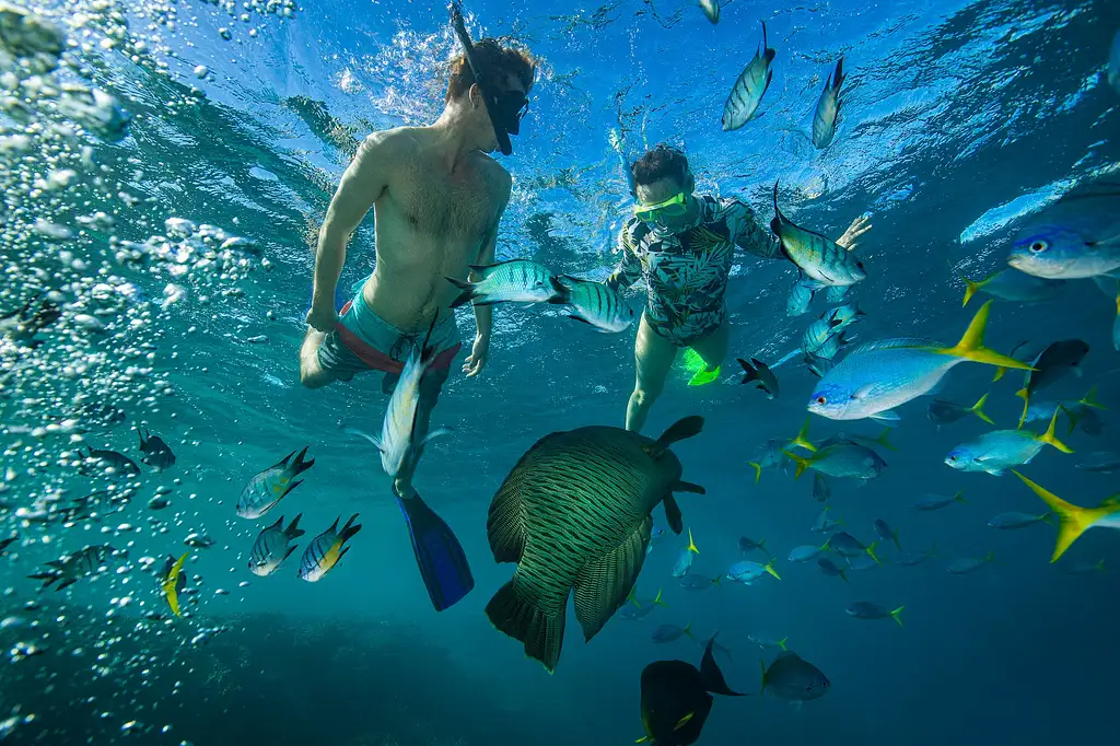 Hook Island Cultural + Snorkelling on Lady Enid | From Airlie Beach