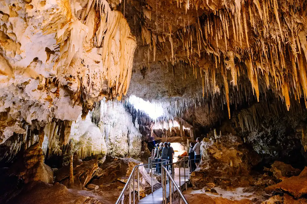 Jewel Cave Fully Guided Tour