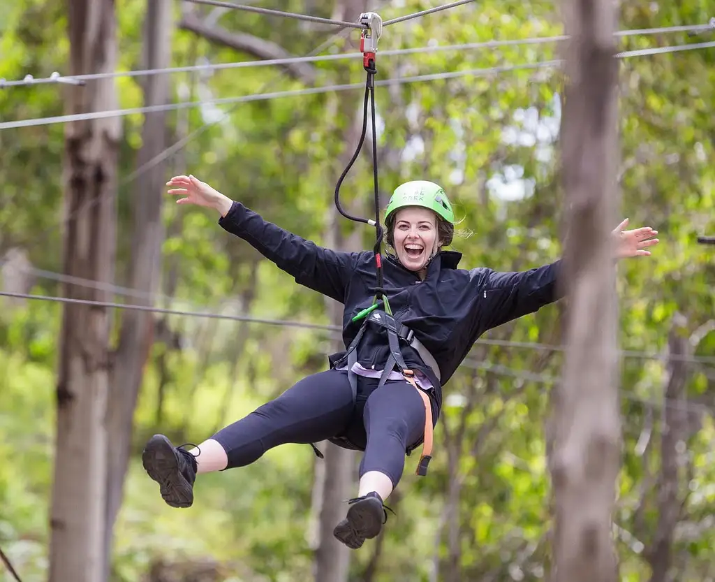 Lorne Super Circuit Treetop Adventure