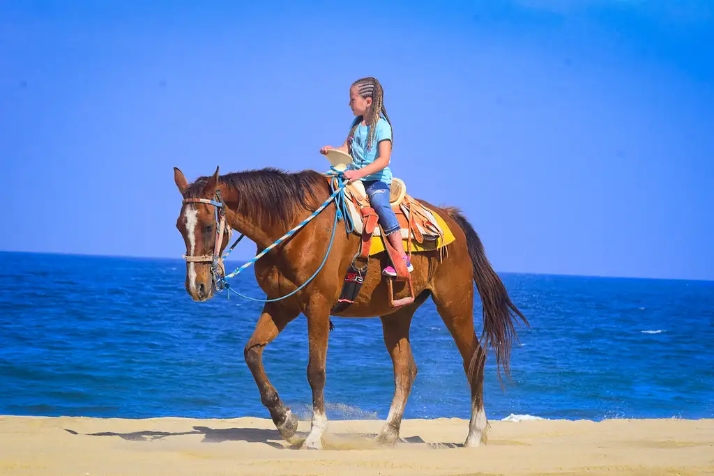 Horseback Riding Beach and Desert Tour