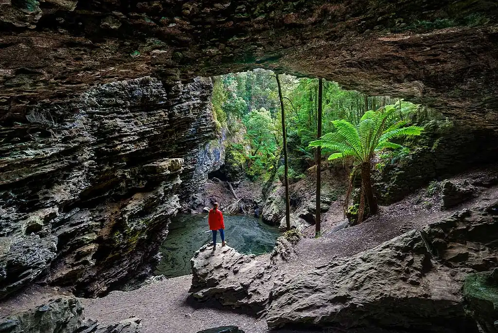 6 Day Best of Tasmania's Tarkine & Cradle Mountain | Intrepid Tour