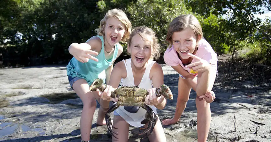 Bush Tucker and Crab Catching Adventure Cruise