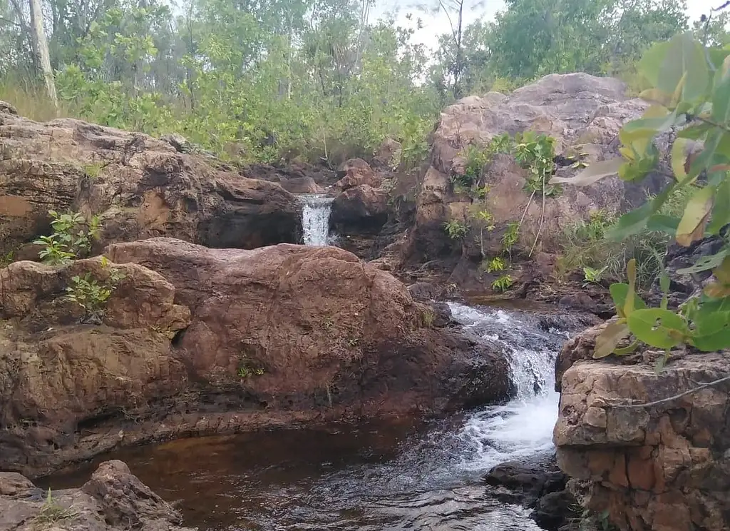 One Day Litchfield Park Adventure & Berry Springs