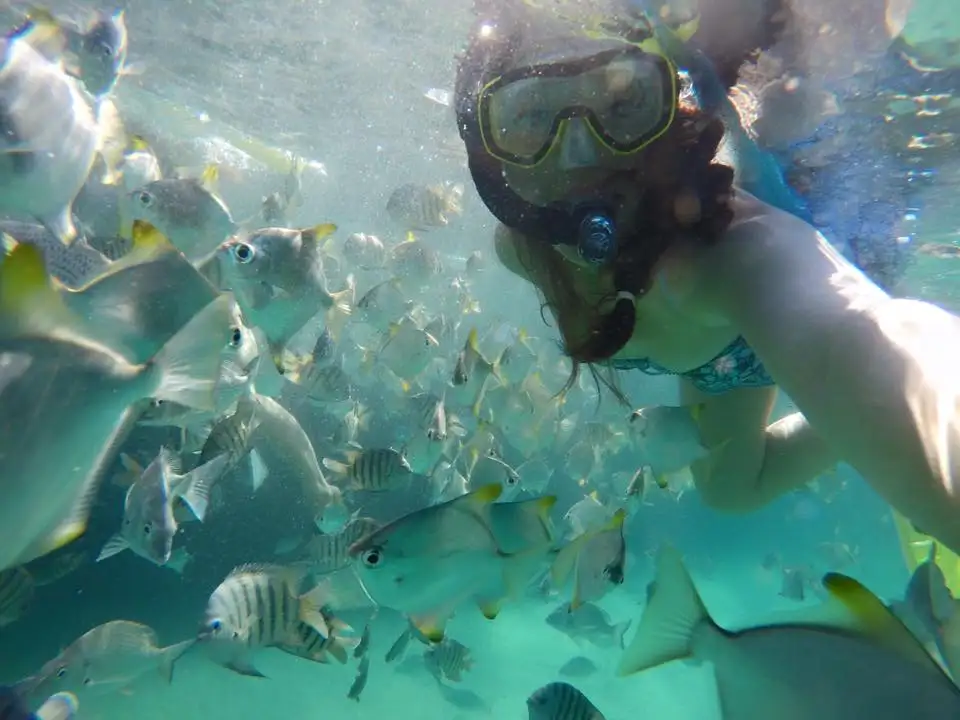 Moreton Island 2 Day Resort Tour (Plus Eco-Walk or Snorkel)