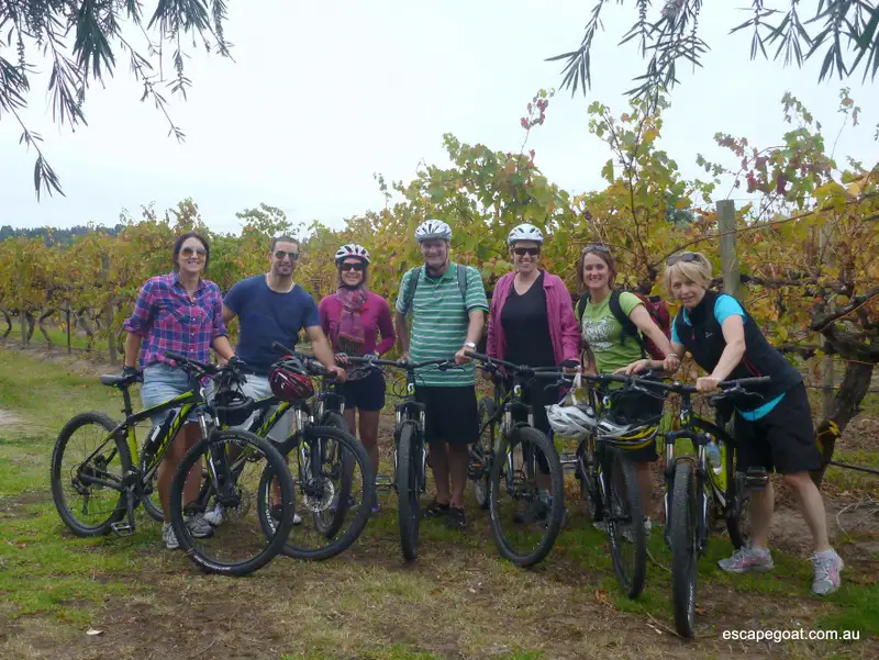 McLaren Vale Wine & Bike Tour