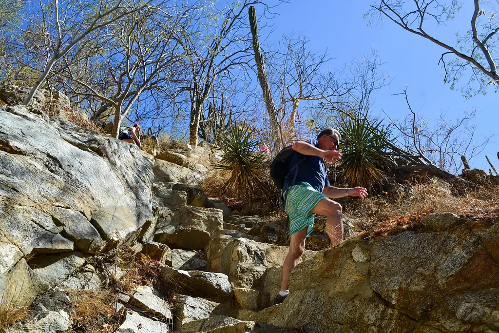 Hiking Tour Of Fox Canyon - Cabo San Lucas