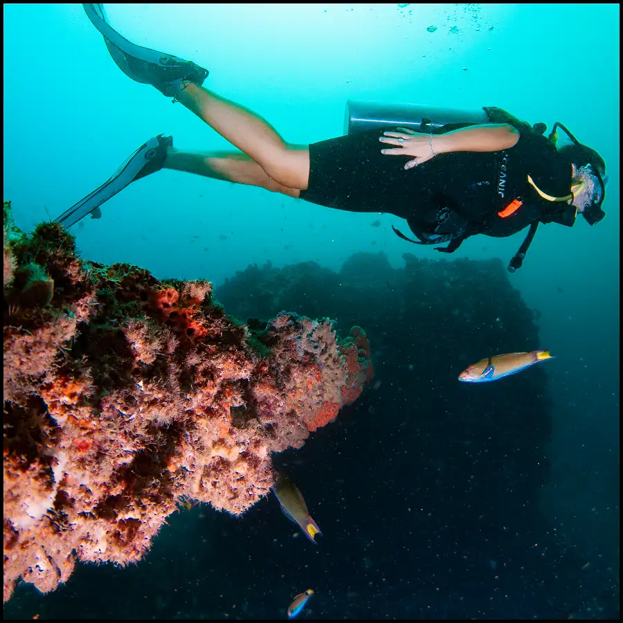 Ex-HMAS Brisbane Double Dive