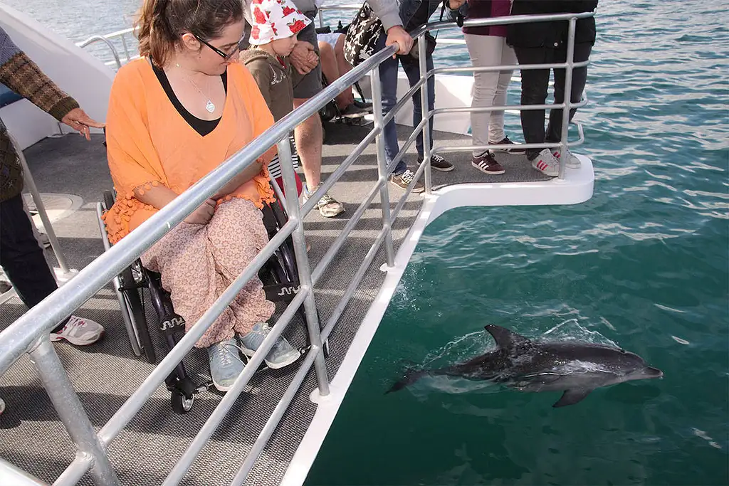 Jervis Bay Dolphin & Boom Netting Cruise