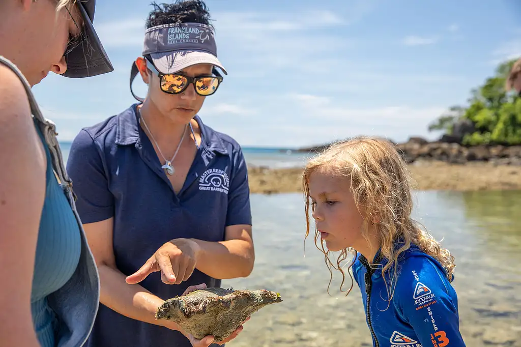 Frankland Islands Reef, Rainforest & River Day Tour from Cairns