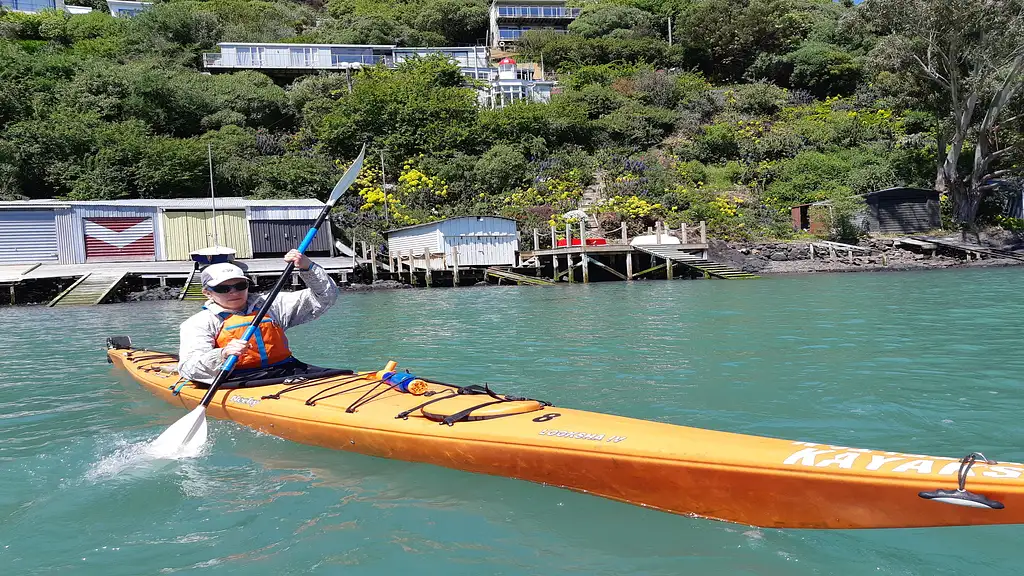 Sea Kayaking, Lyttelton Harbour & Quail Island Tour