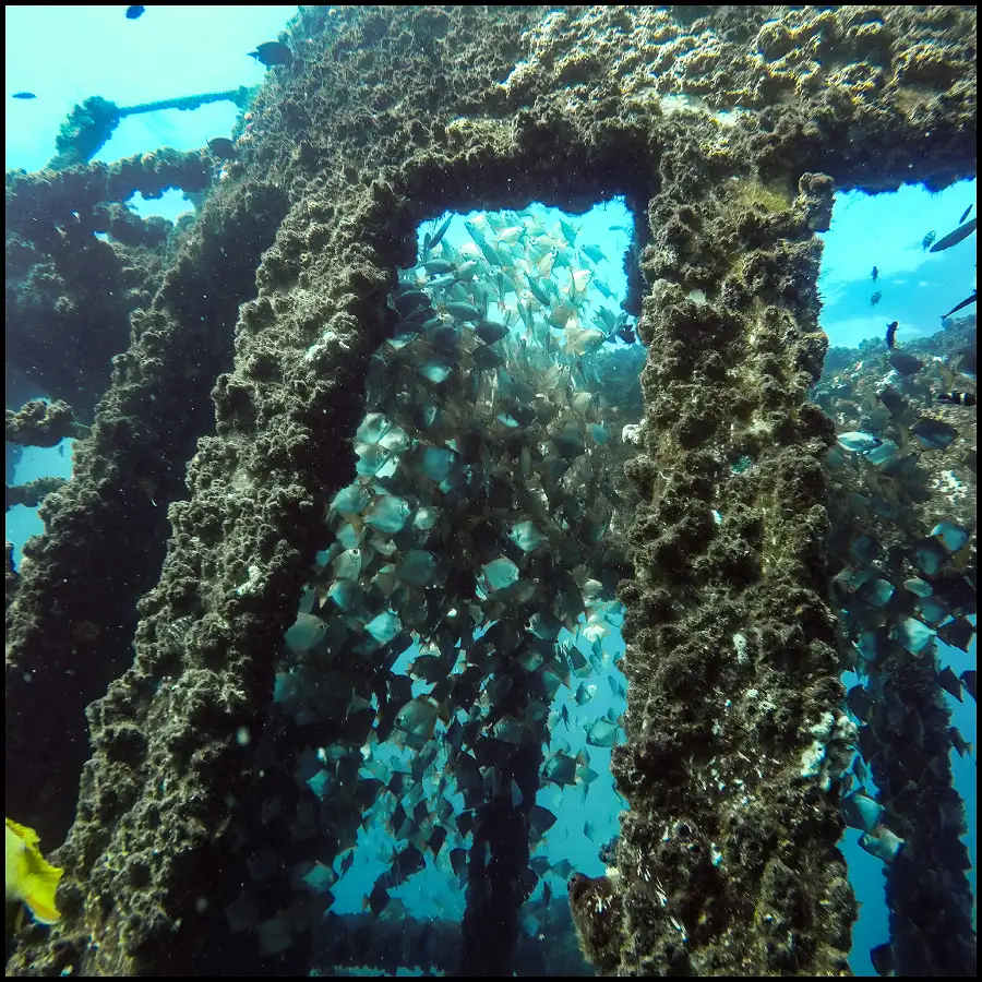 Ex-HMAS Brisbane Double Dive