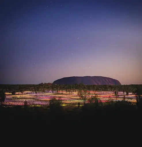 Uluru Sunrise & Field of Light (FOL)