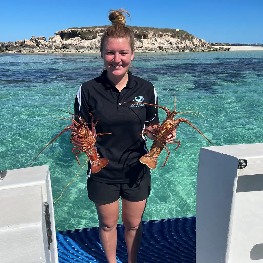 Rock Lobster Catch & Keep Boat Tour