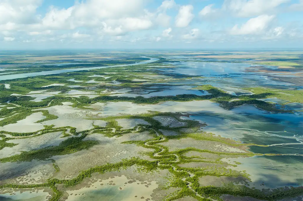 Darwin To Kakadu Day Trip By Air Including Yellow Water Cruise