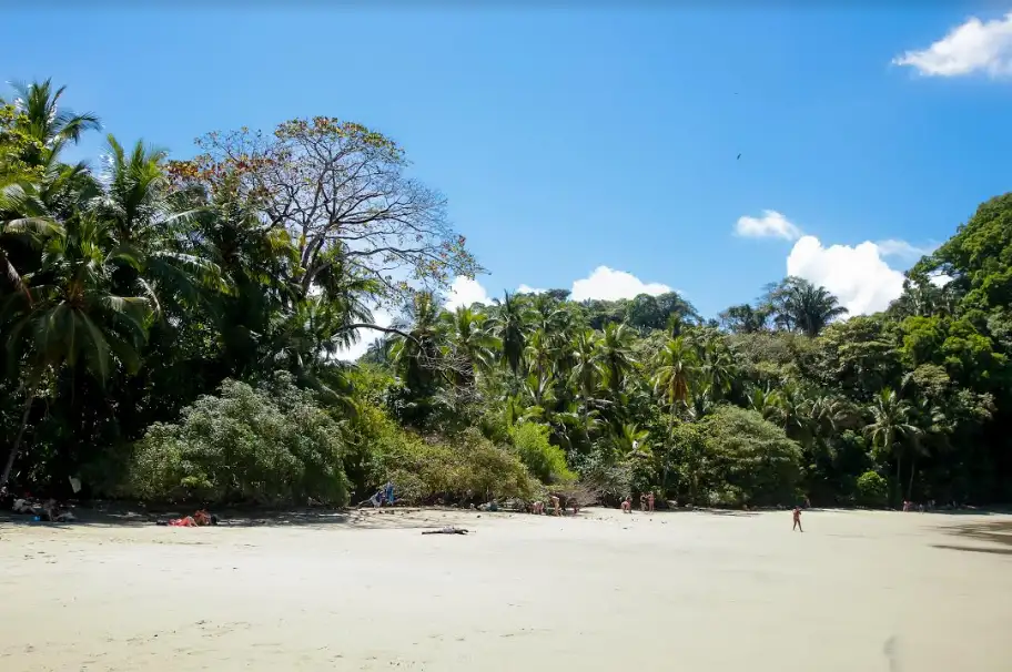 Manuel Antonio Park Tour