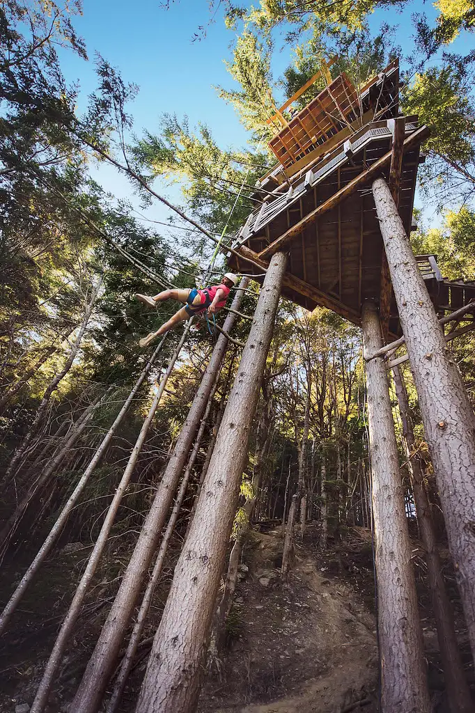 Kereru Zipline Tour - Queenstown