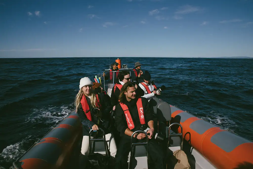 Safari-Style Whale Watching