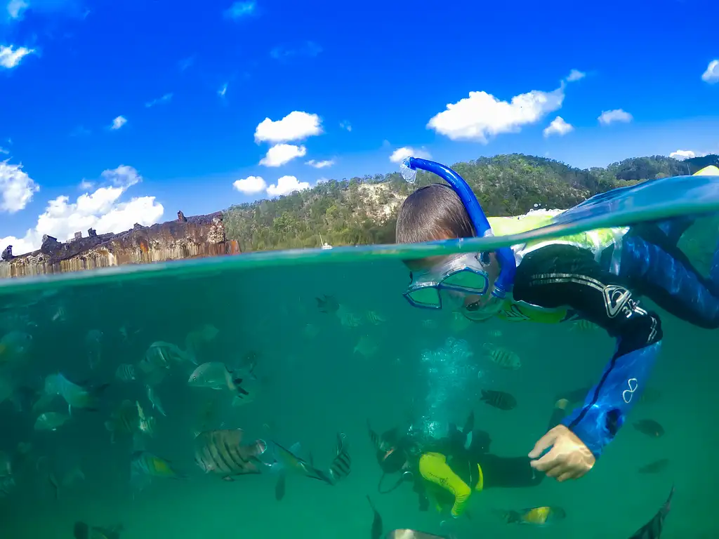 Snorkel the Wrecks Day Cruise  - Option with Wild Dolphin Feeding Upgrade