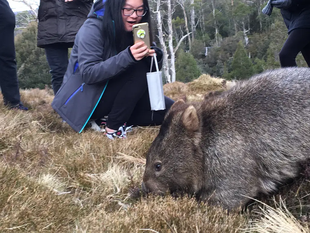 Cradle Mountain Full Day Tour From Hobart