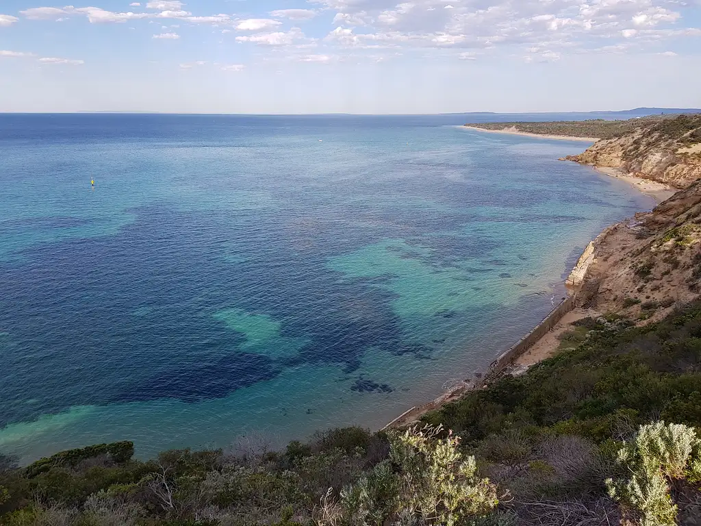 Dolphin and Seal Watching Eco Boat Tour - Mornington Peninsula