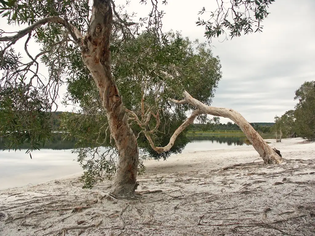 North Stradbroke Island 4WD Day Tour