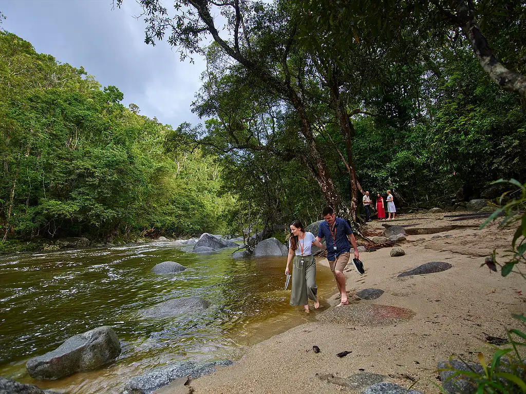 Daintree Dreaming - Traditional Aboriginal Fishing