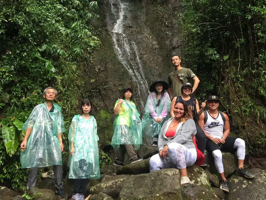 Hawaii Rainforest Hike